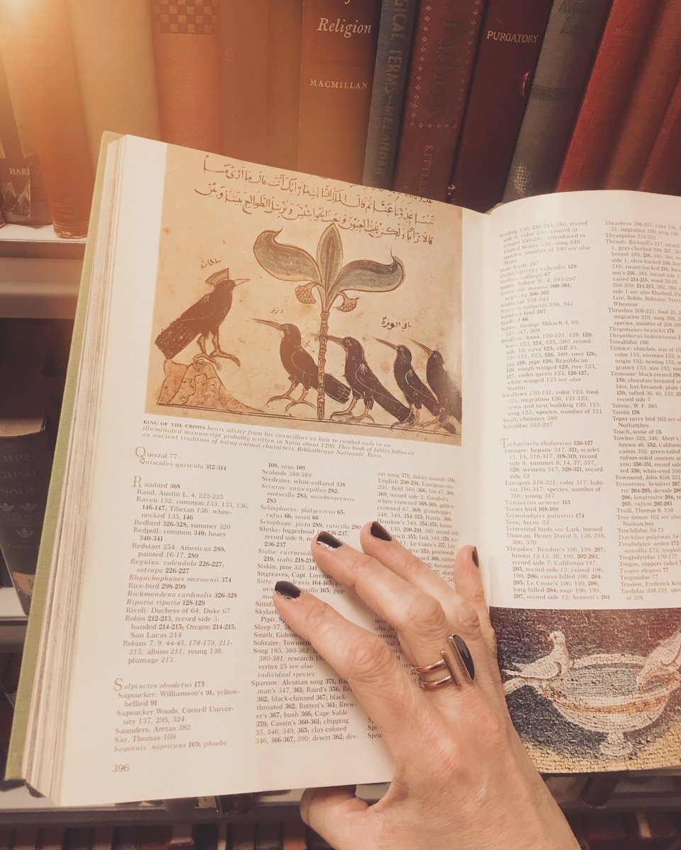 "Once upon a midnight dreary, while I pondered, weak and weary, Over many a quaint and curious volume of forgotten lore..." #edgarallenpoe #usedbooksuperstore #usedbookstore #usedbooks