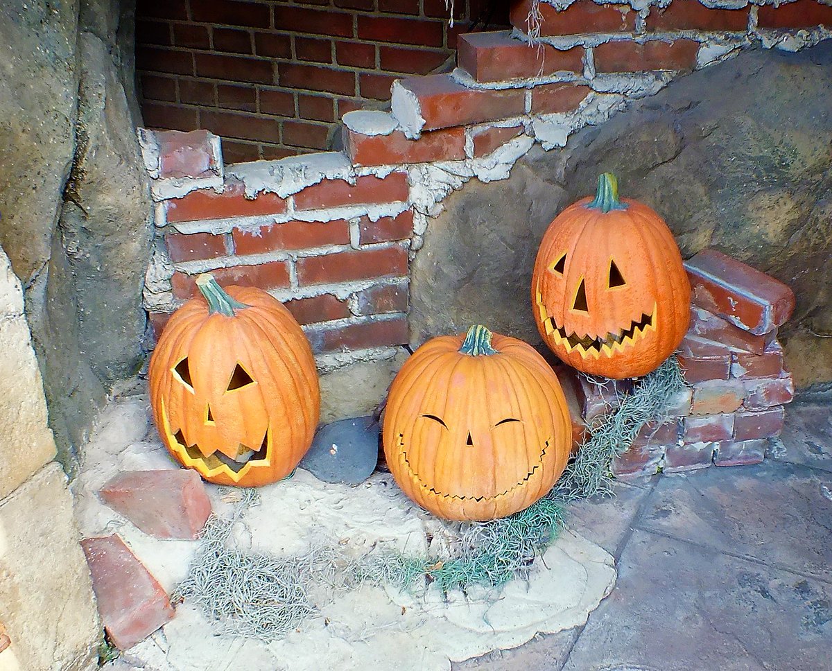 10月31日(木)
おはようございます。Good morning! 
～Happy Halloween～🎃👻
今日も素敵な一日になりますように～🙂

★撮影 #hirorion
#葛飾 #かつしか #葛飾区 #亀有
hirorion.com  
kameari.net  
facebook.com/hirorion999