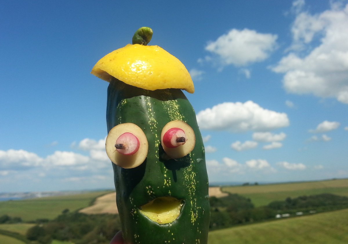 @70s_party Madame Zucchini (@madamezucchini) hat getwittert:
@KeepCalmFannyOn @70s_party Bringing the holiday gherkin to this festive food party

#funwithvegetables  twitter.com/madamezucchini…