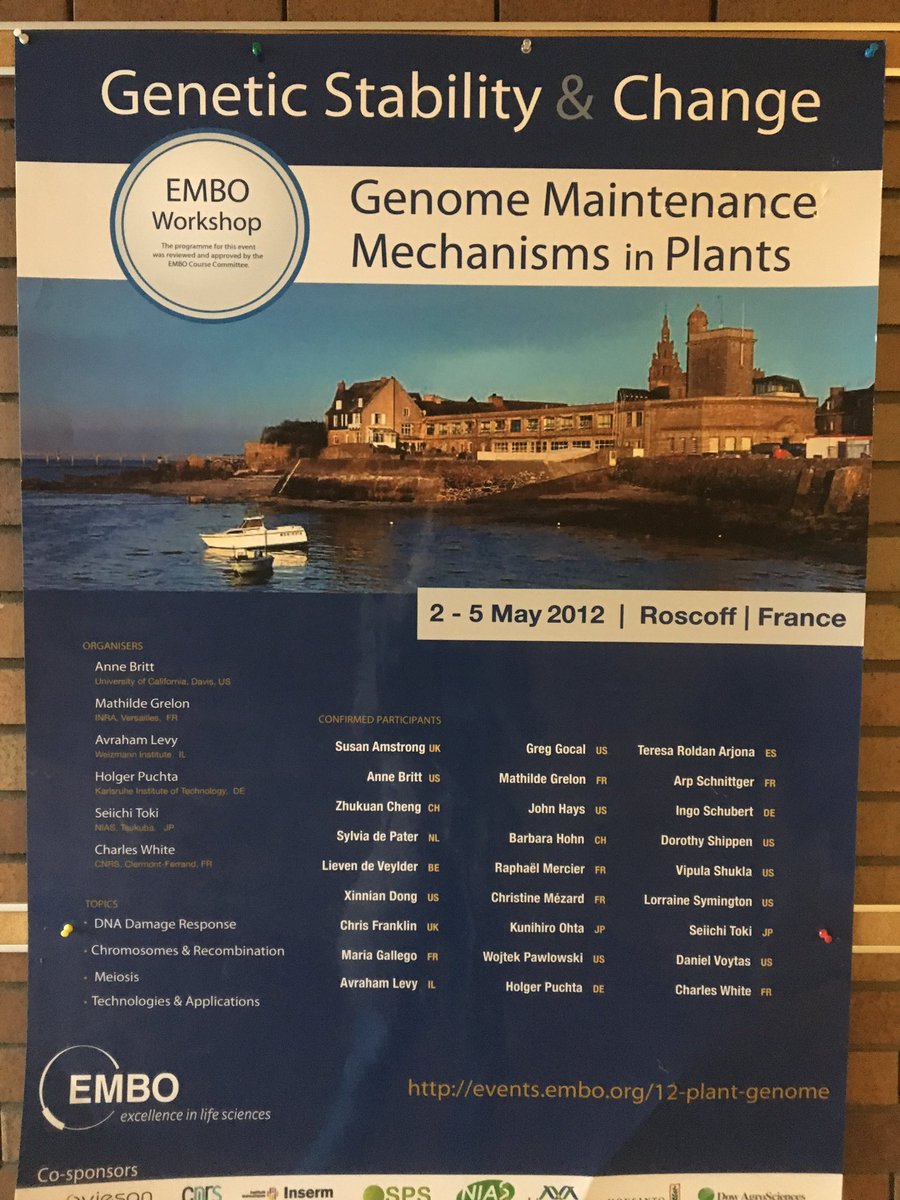 Found an old EMBO poster! 😂
Wish I could join in the EMBO workshop next year