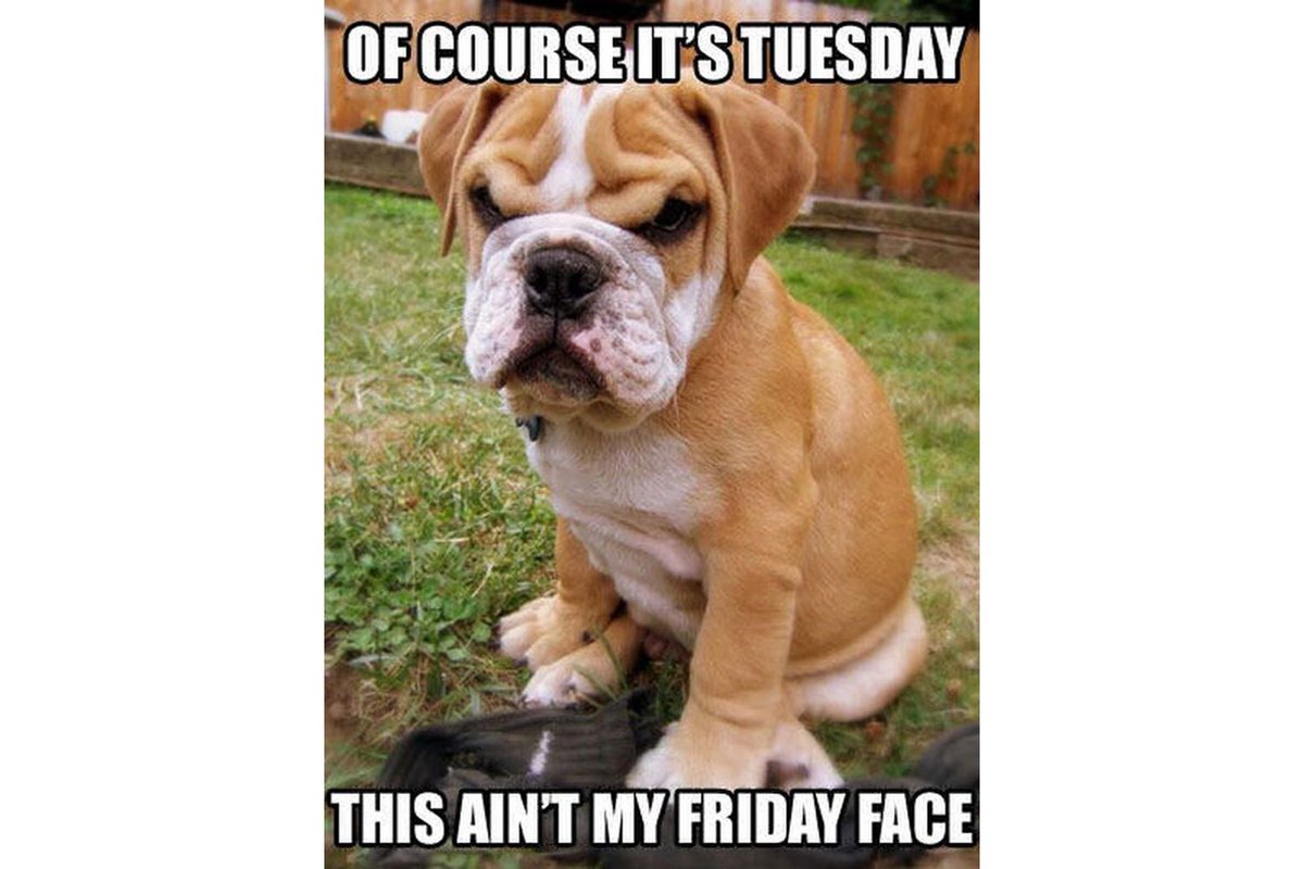 UPICAPART's tweet photo. Happy Tuesday folks! Whether you bring your vehicle to us or we arrange towing, we will take care of all the paperwork for you. From appraisal to payment, we provide fast, convenient service. https://t.co/SFMNyFn9RM