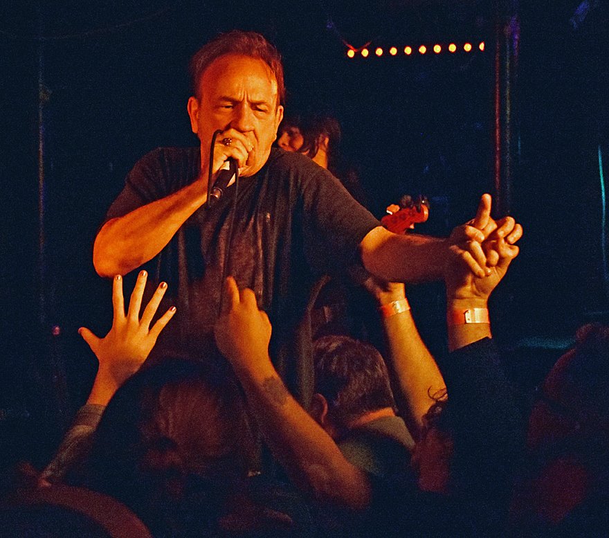 PunkBlowfish tweet media