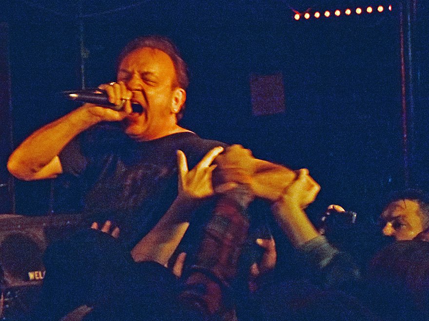 PunkBlowfish tweet media