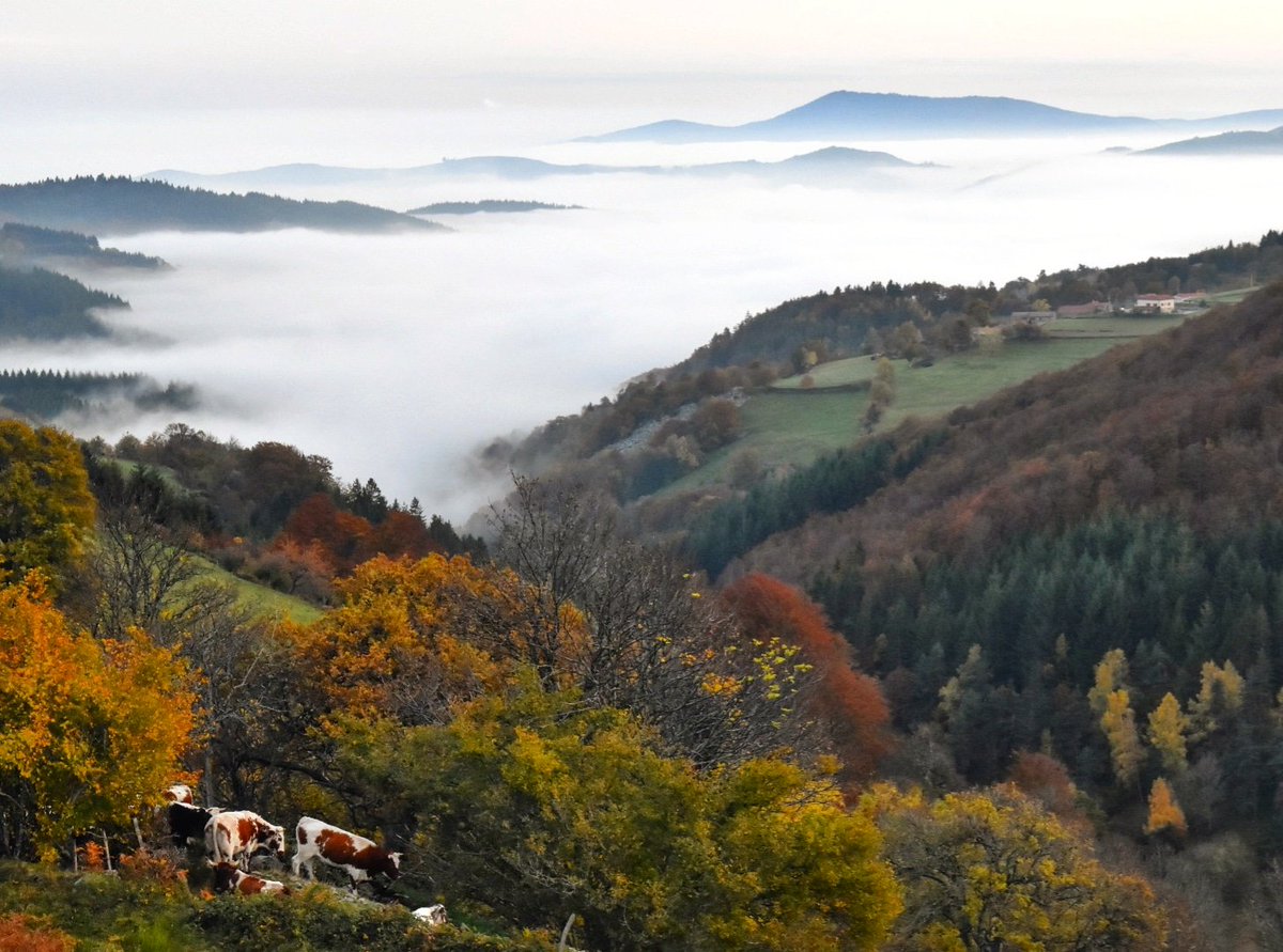 Nathanael42's tweet photo. Je ne me lasserai jamais de la beauté de ce paysage! #PilatMonParc #igersstetienne #igersfrance #MagnifiqueFrance #Tourisme42 #AuvergneRhoneAlpes https://t.co/zJL42c0fdN