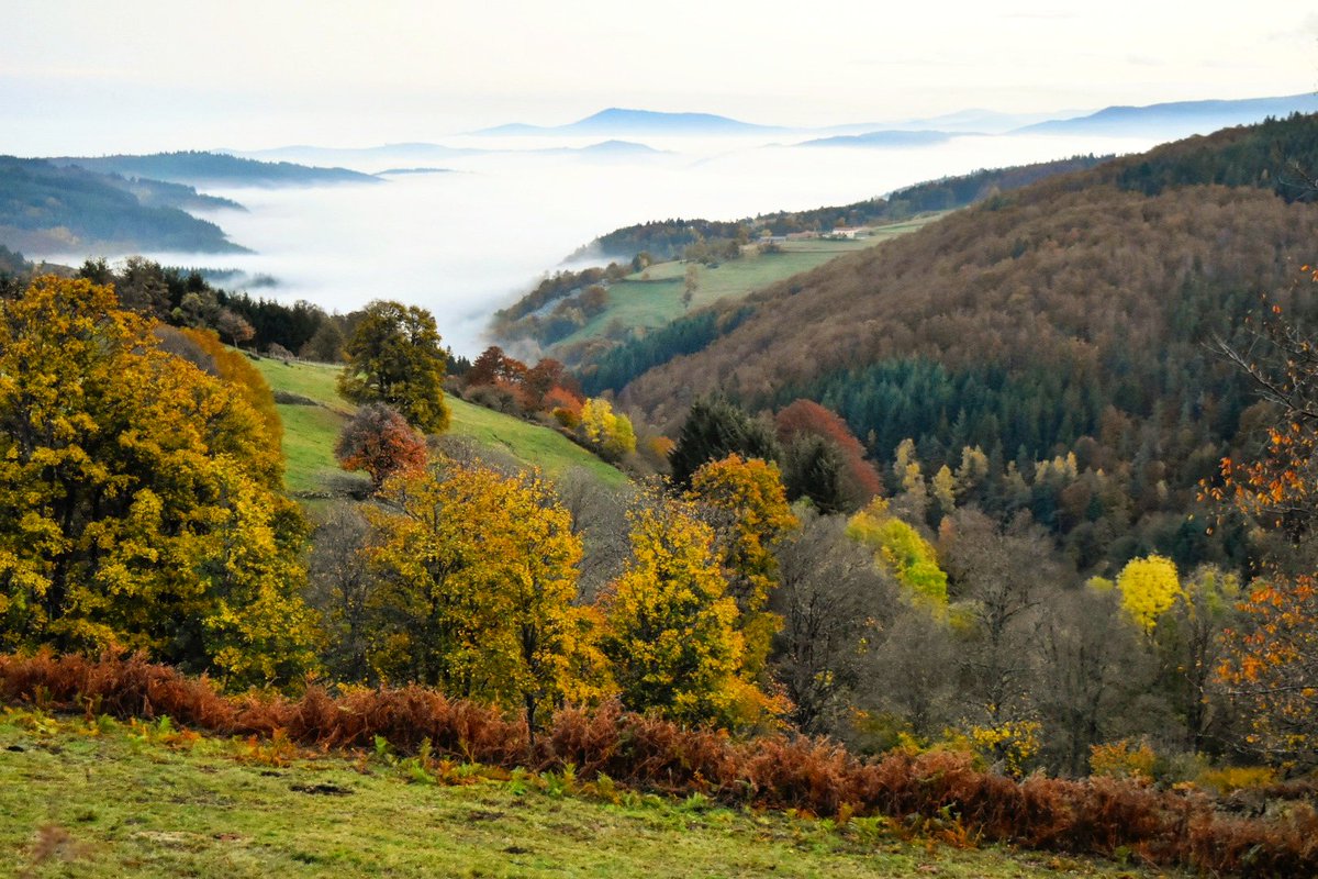 Je ne me lasserai jamais de la beauté de ce paysage! #PilatMonParc #igersstetienne #igersfrance #MagnifiqueFrance #Tourisme42 #AuvergneRhoneAlpes
