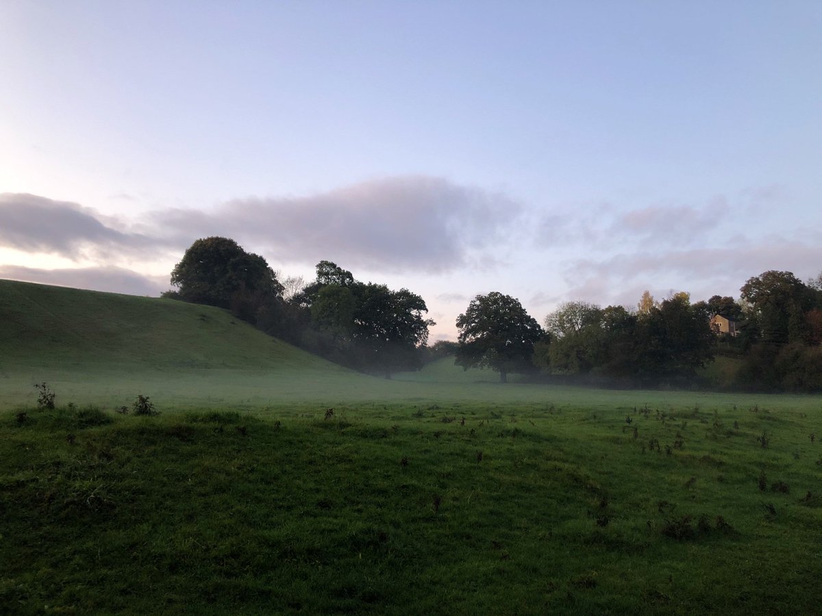laurenjnormyle's tweet photo. @BBCSpringwatch photos from Ab evening stroll in Pickering, North Yorkshire https://t.co/KMjJNjfVNx