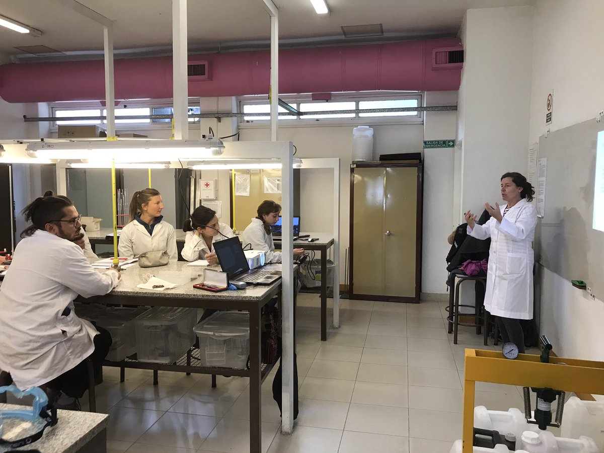 DrylandAlgae's tweet photo. #Biocostras Day 3 report: after collecting respiration samples &amp; determine #biocrust strength measurements in the field we had fun in the chemistry lab determining respiration rates using good old titrations. Highest respiration values came from crusts &amp; shrub islands #NMSUaces https://t.co/khHAOyvsYG