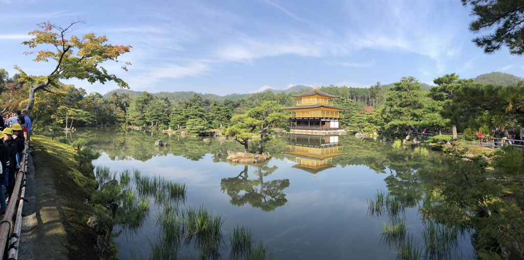 srenuart's tweet image. Golden Pavilion in Kyoto, Japan #PickleWeddingTour