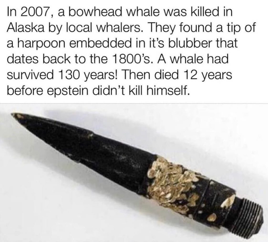 Brock Neil tweet media