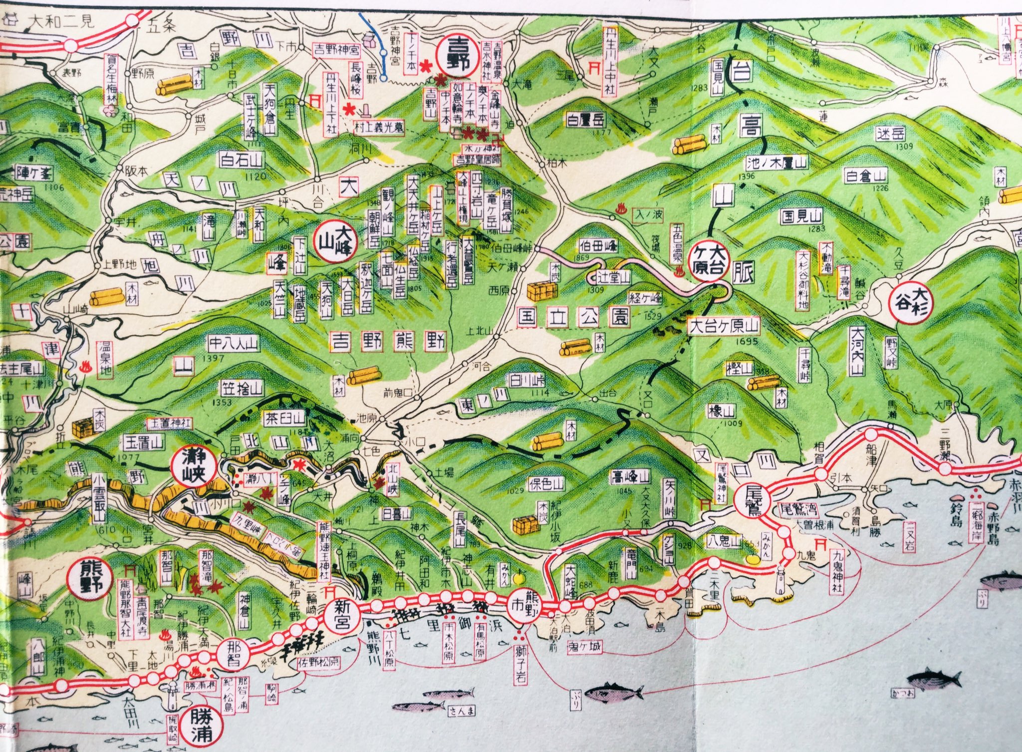 雑貨奥様 昭和43年大蔵省職員用 レクリエーション全国旅行案内図 南紀です 三重県も含まれているんだけど 三重県 人にも遠い所なんです お魚と木材のイラストが多いです 昭和レトロ 地図 南紀 T Co Tliqspasjn Twitter