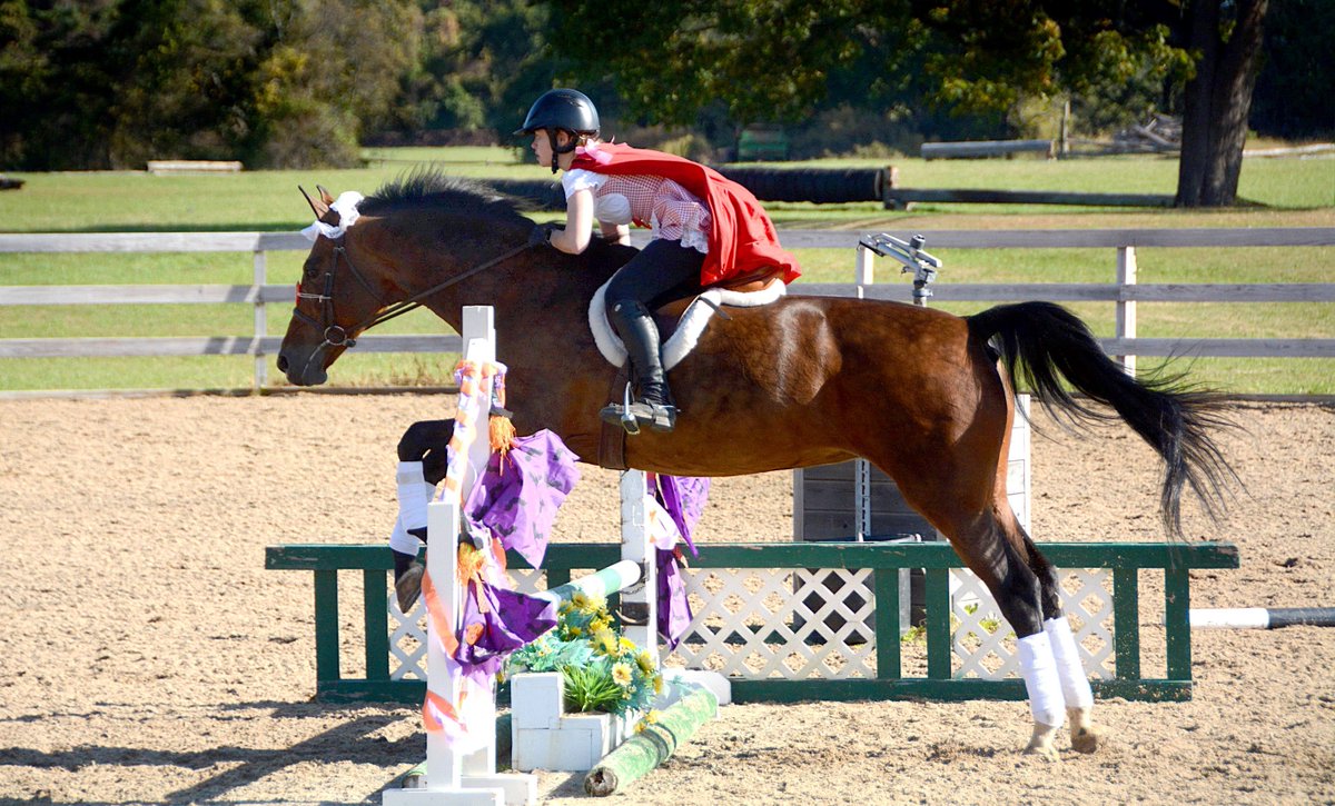It's almost Halloween! He is our sales Associate with her mare Claire two years ago on Halloween. Send us pictures of you and your pony for us to feature on our story tomorrow! // @itrainspurplesummer