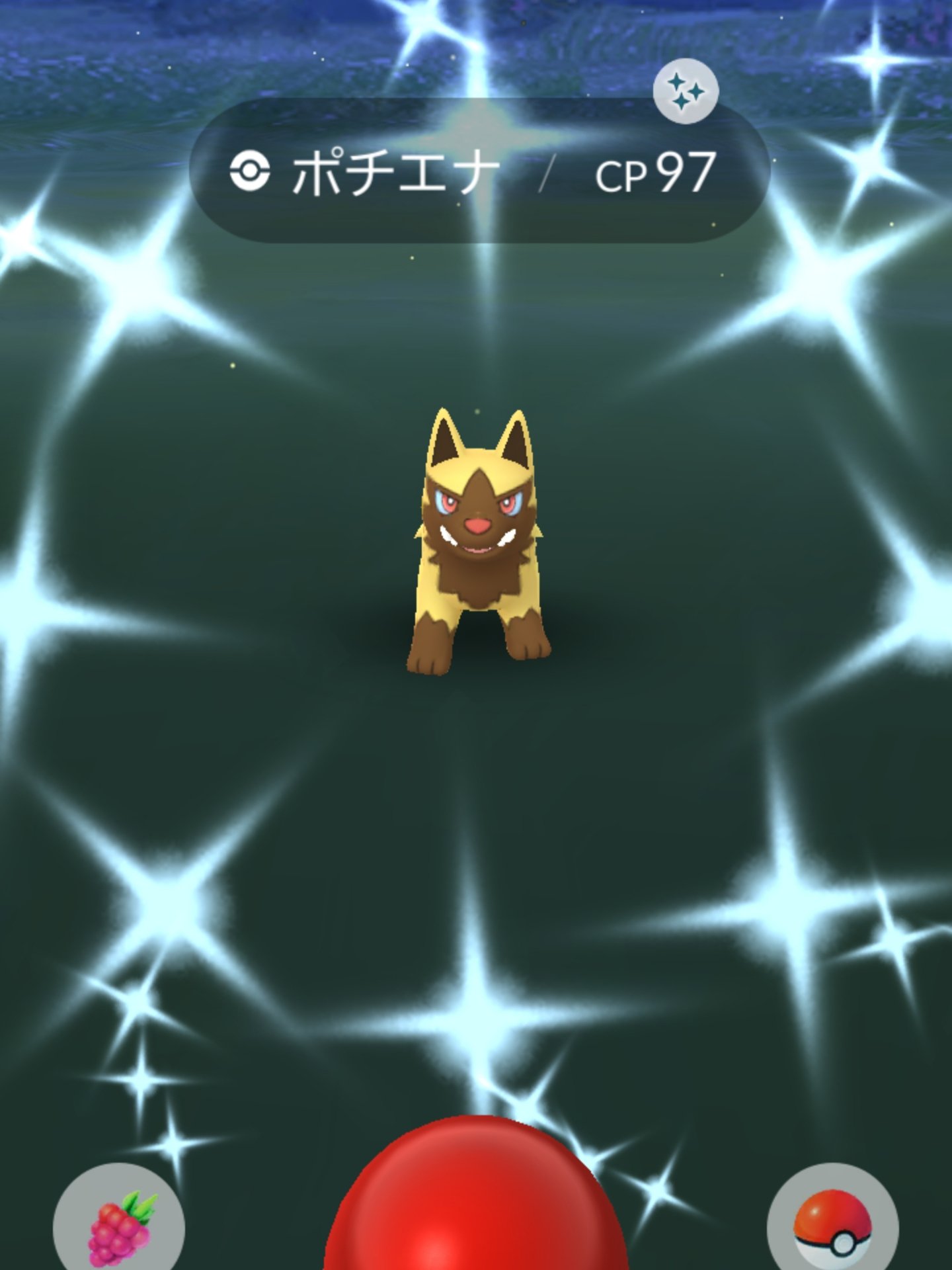 ポチエナ Twitter Search Twitter