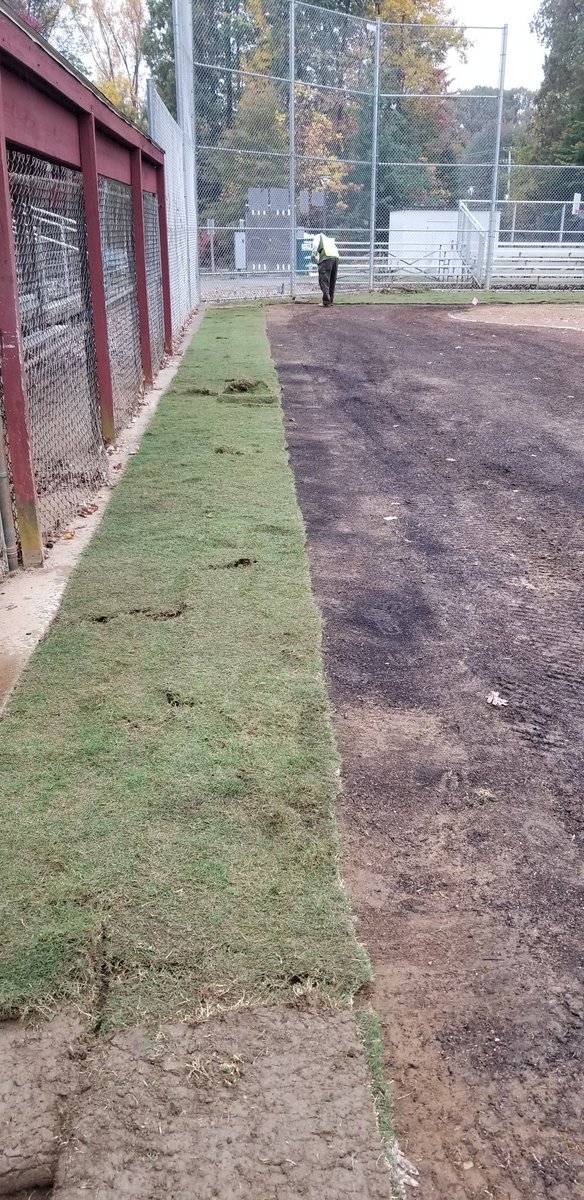 Annandale Atoms Softball tweet media