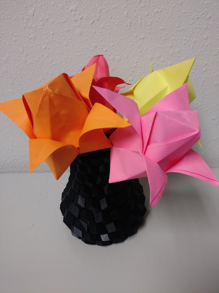 Bobbie Lowe tweet media