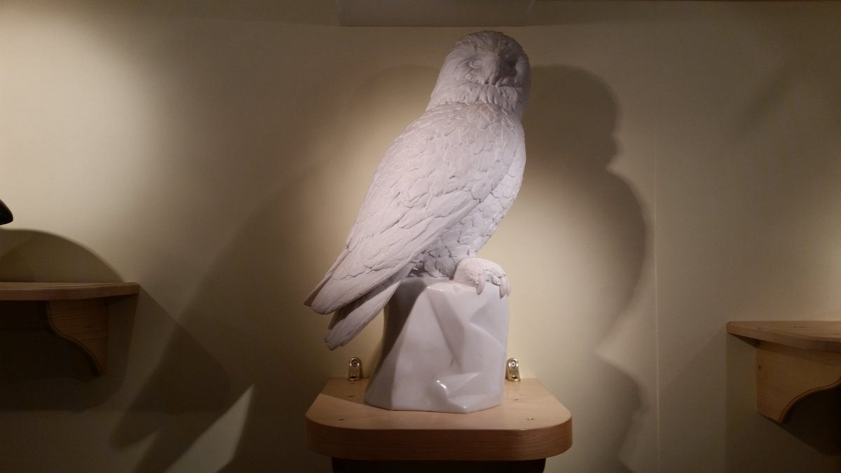 Shared from Photos app
1 photo