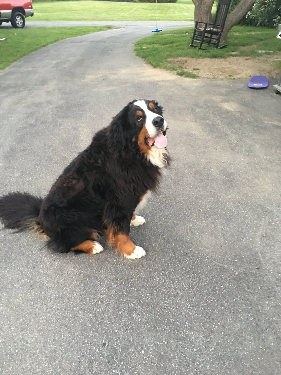 Shared from Photos app
1 photo