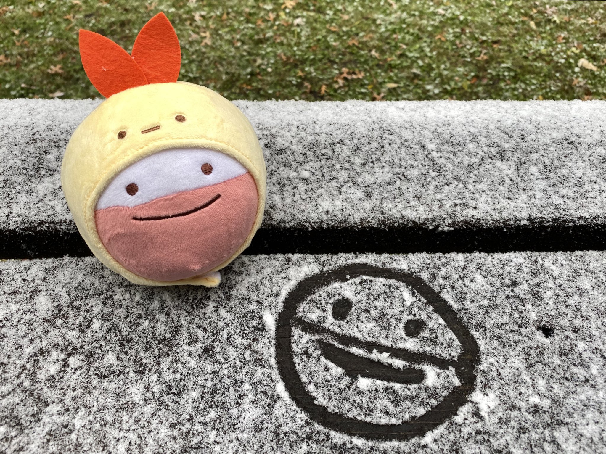 Ditto as cheap electrode plush