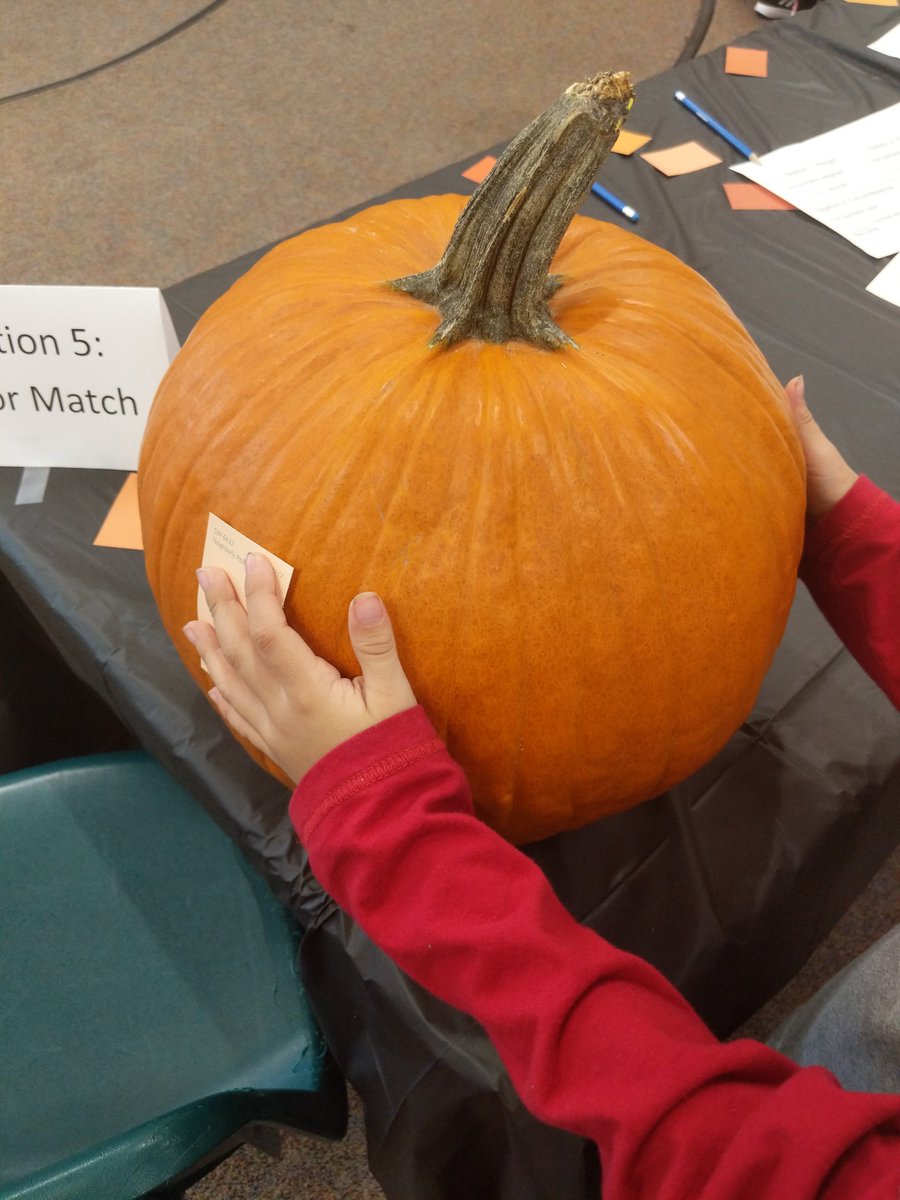neene's tweet photo. Ty @SherwinWilliams Store #5454 for all the wonderful orange family paint swatches for our #PumpkinDataProject. They were the perfect solution for today's instruction when I couldn't use #OurSTEAMCafe https://t.co/46LzxoYsy4