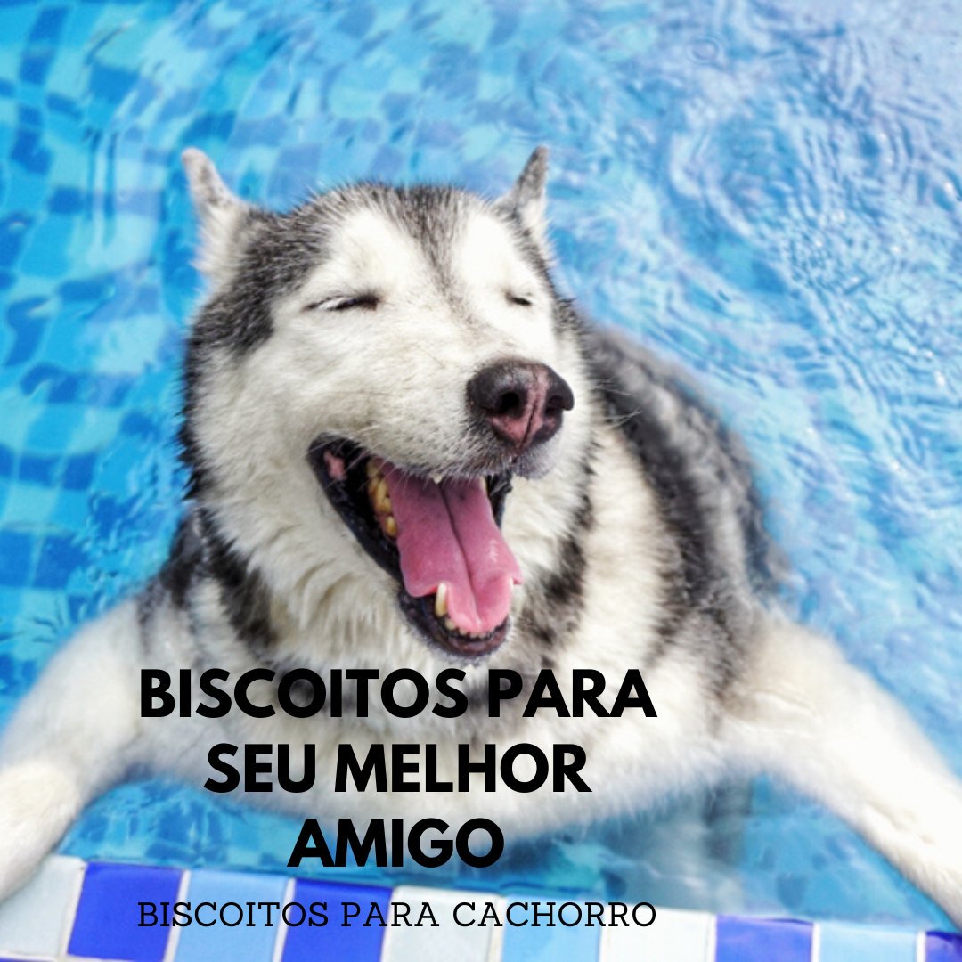 amanda_amaral86's tweet photo. Faça biscoitos para o seu melhor amigo
https://t.co/PuJDr3YP9y
#cachorro  #cachorrosdobrasil #cachorros 
#cachorroétudodebom #cachorroetudodebom #amocachorro  #maedecachorro #cachorrosfofos #cachorrosdoinstagram #cachorrolindo
 #cachorrofofo #viralata #cachorroderua #dogs #dog https://t.co/cNorJcy3FW