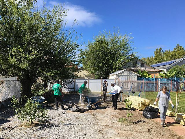 GlobalGreenNOLA's tweet photo. We’re back at Ida’s Orchard this Saturday with some more updates 💕 come lend a hand from 9am-2pm on Saturday November 2 at 1806 Gallier St! https://t.co/f0rSg9f897 https://t.co/O8NEd6wXBp