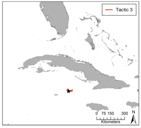 paigepowell4012's tweet photo. It was revealed that the frigatebird has 3 tactics for foraging trips: commuting flights with coastal foraging, pelagic trips of variable duration, and highly localised coastal foraging trips. The males were usually the ones making the longer distance trips. #Austin2019 #OCS4012 https://t.co/ny9Cl1XeKy