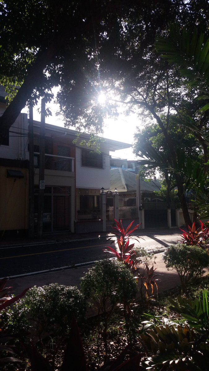 GeraldT15880344's tweet photo. Goodmorning have a nice day ahead.

#labanparasaekonomiya https://t.co/v6ECheMsts