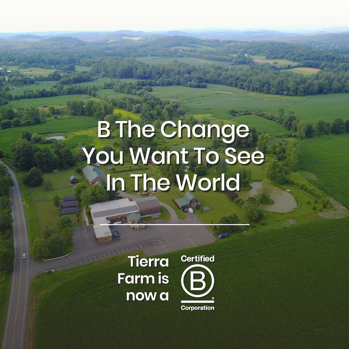 TierraFarm's tweet photo. Tierra Farm's is now B Corp. Certified https://t.co/vIB9vcY0Ty
