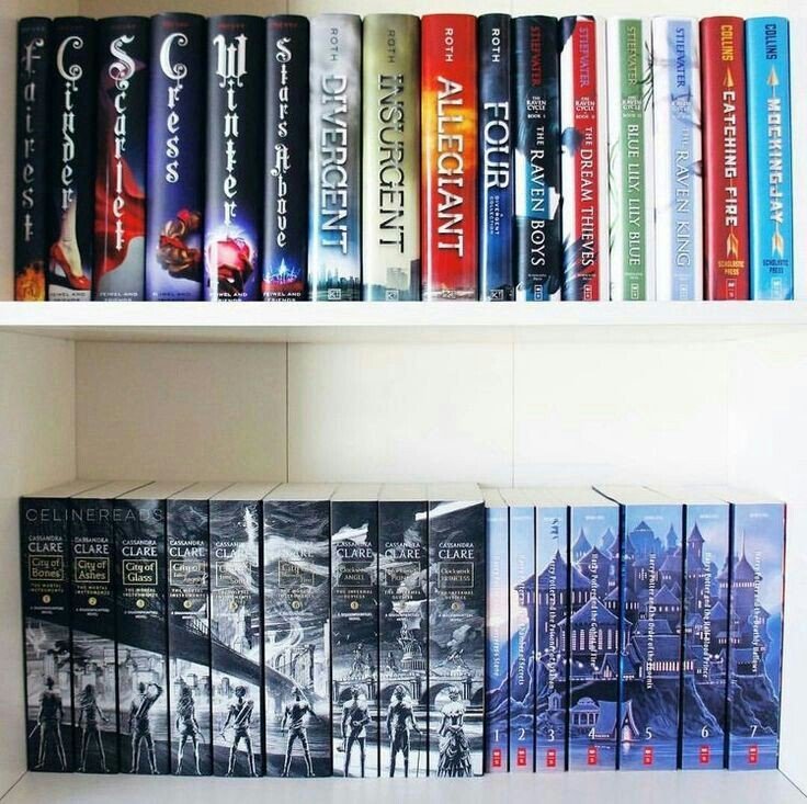 sansostark's tweet photo. Bookshelves https://t.co/M5uYf2SNyQ