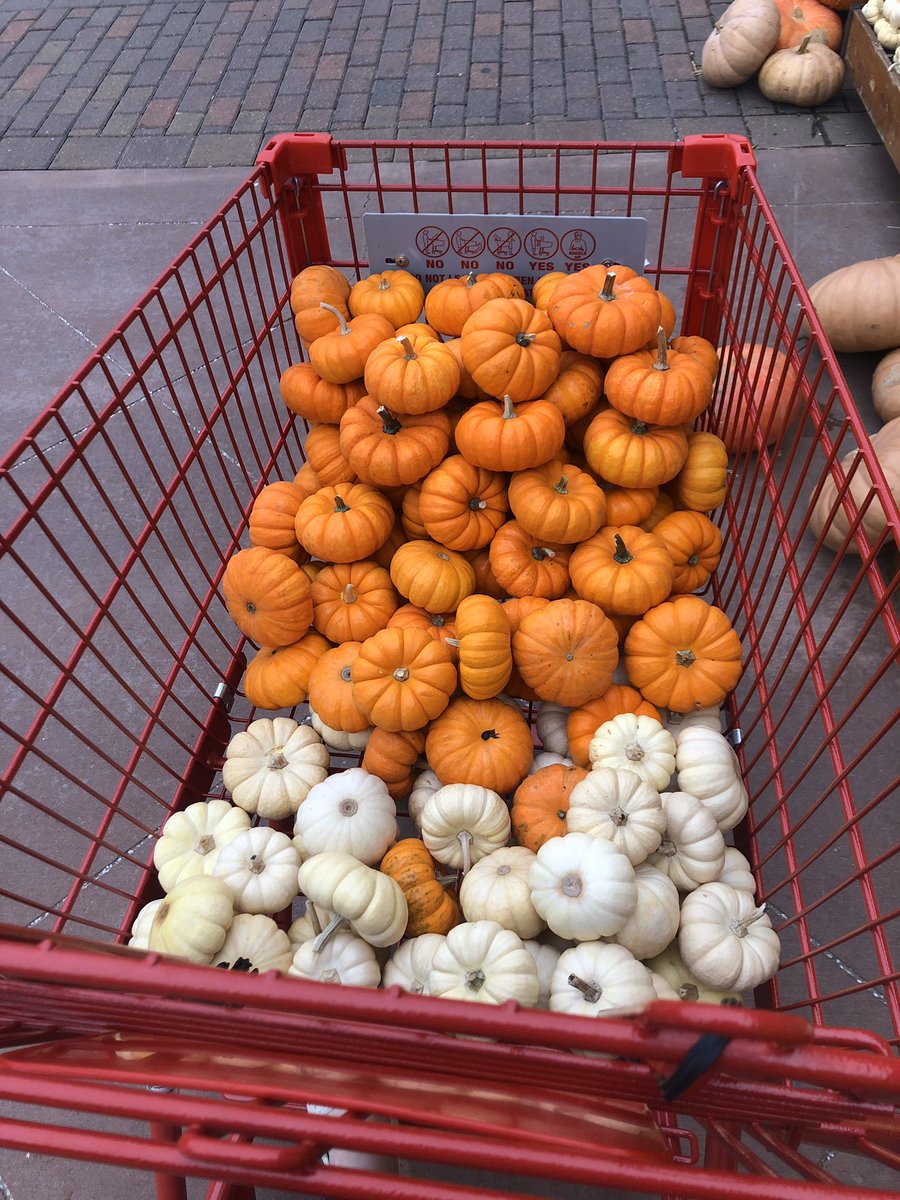 I looked totally insane at Trader Joe’s today....
This cart can only mean one thing. Pumpkin day is coming!! 🤩🤩 #MREgsoe