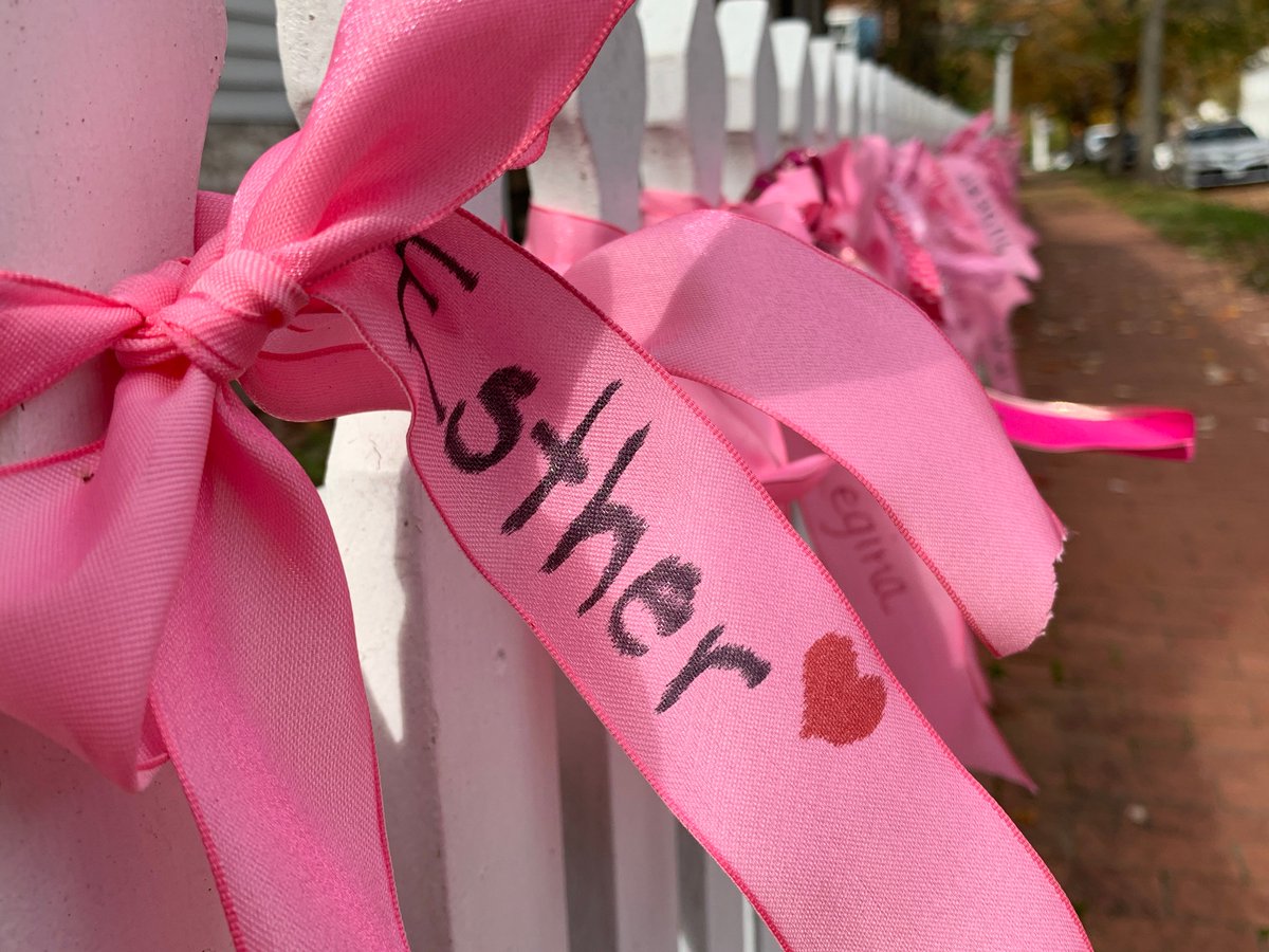 One more day for pink ribbons on the fence at the Mary Washington House in Fredericksburg. Every October, pink ribbons are placed on the fence. George Washington's mother died in Fredericksburg of breast cancer. Today, it's a chance to remember &amp; honor family &amp; friends impacted.