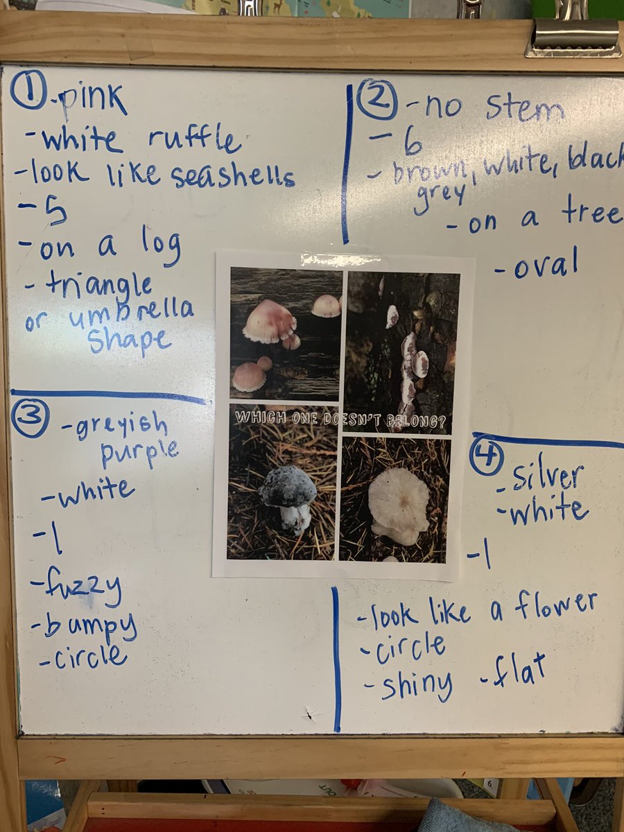 Today was mushroom day! We did a mushroom #WODB (picture courtesy <a href="/AlanaTesan/">Alana Tesan</a>), read about mushrooms, did a mushroom picture talk and tallied the mushrooms we found outside! #wildernessWednesday in the sunshine!