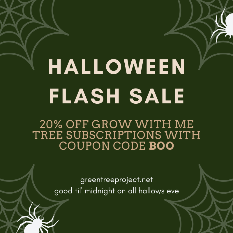 Green Tree Project (@greentreeokc) / Twitter