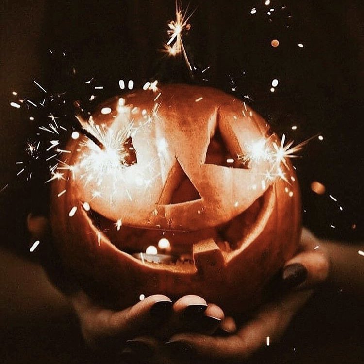 ReworkitStA's tweet image. Happy Halloween 🎃👻🕸🕷

#halloween #pumpkin #bewitched

great pic @OctoberAlways