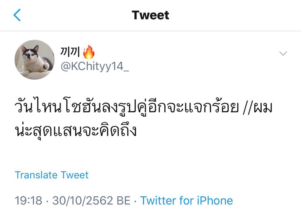 케이 シ tweet media