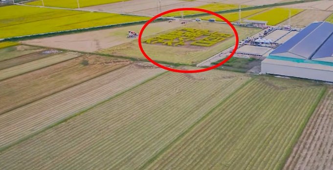 [특종] #전남 나주에 #UFO #크롭써클 이???

영상을 확인해보세요.
▶ bit.ly/2BWyzR5

#11월2일 #오후2시40분 #광주 #대집회