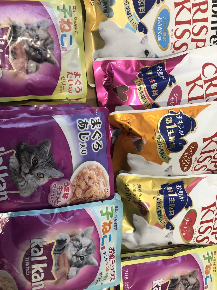 MoffCoin's tweet photo. 今月もNPO法人リトルキャッツ様へドライフードなど各種を物資支援させていただきました🐱 https://t.co/iVDcFVZ9rw