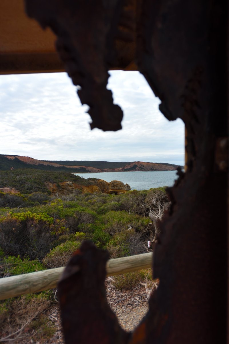 #scape366.com 305 - The #pointaddisbeach and #coastline, taken through the #lasercut information sign at #pointaddis. A popular place along the #greatoceanroad for #walking, #surfing and taking in the sights of the #pointaddismarinenationalpark #coastscape