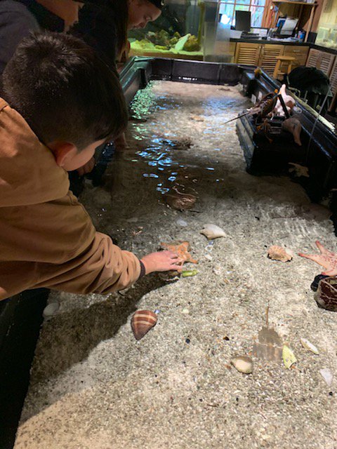 VistaRidgeMS's tweet photo. VRMS Art students sketching and learning to sketch from pictures to prepare  their portfolios at the Zoo! #vrmsintentional #celebratekisd #strongerinthepride https://t.co/tRMHan4WjX
