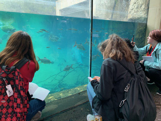 VistaRidgeMS's tweet photo. VRMS Art students sketching and learning to sketch from pictures to prepare  their portfolios at the Zoo! #vrmsintentional #celebratekisd #strongerinthepride https://t.co/tRMHan4WjX