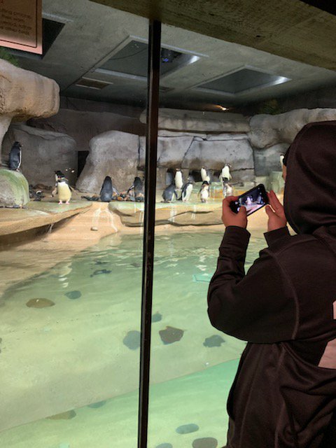 VistaRidgeMS's tweet photo. VRMS Art students sketching and learning to sketch from pictures to prepare  their portfolios at the Zoo! #vrmsintentional #celebratekisd #strongerinthepride https://t.co/tRMHan4WjX