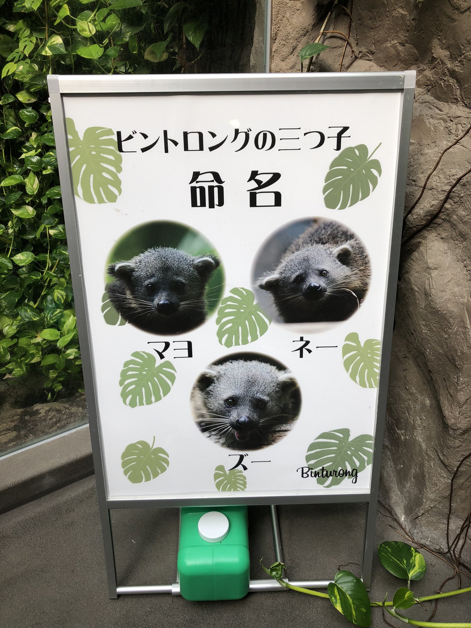 高知県の動物園、動物につける名前のセンスが独特すぎるwwww