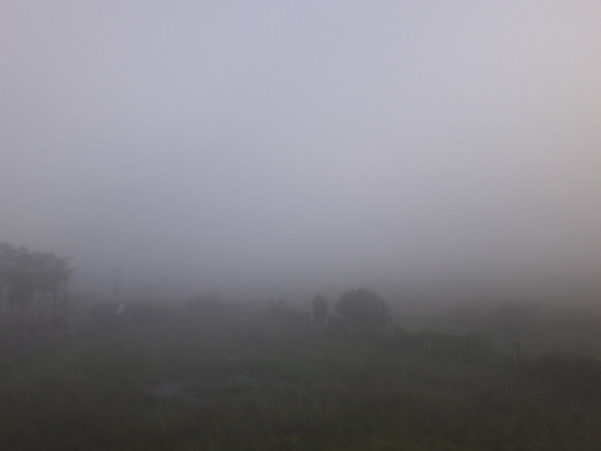 Rohan6690's tweet photo. My countryside house engulfed with a thick blanket of fog. Clicked these pictures at 7 am this morning. https://t.co/9lrnNJ4YVD