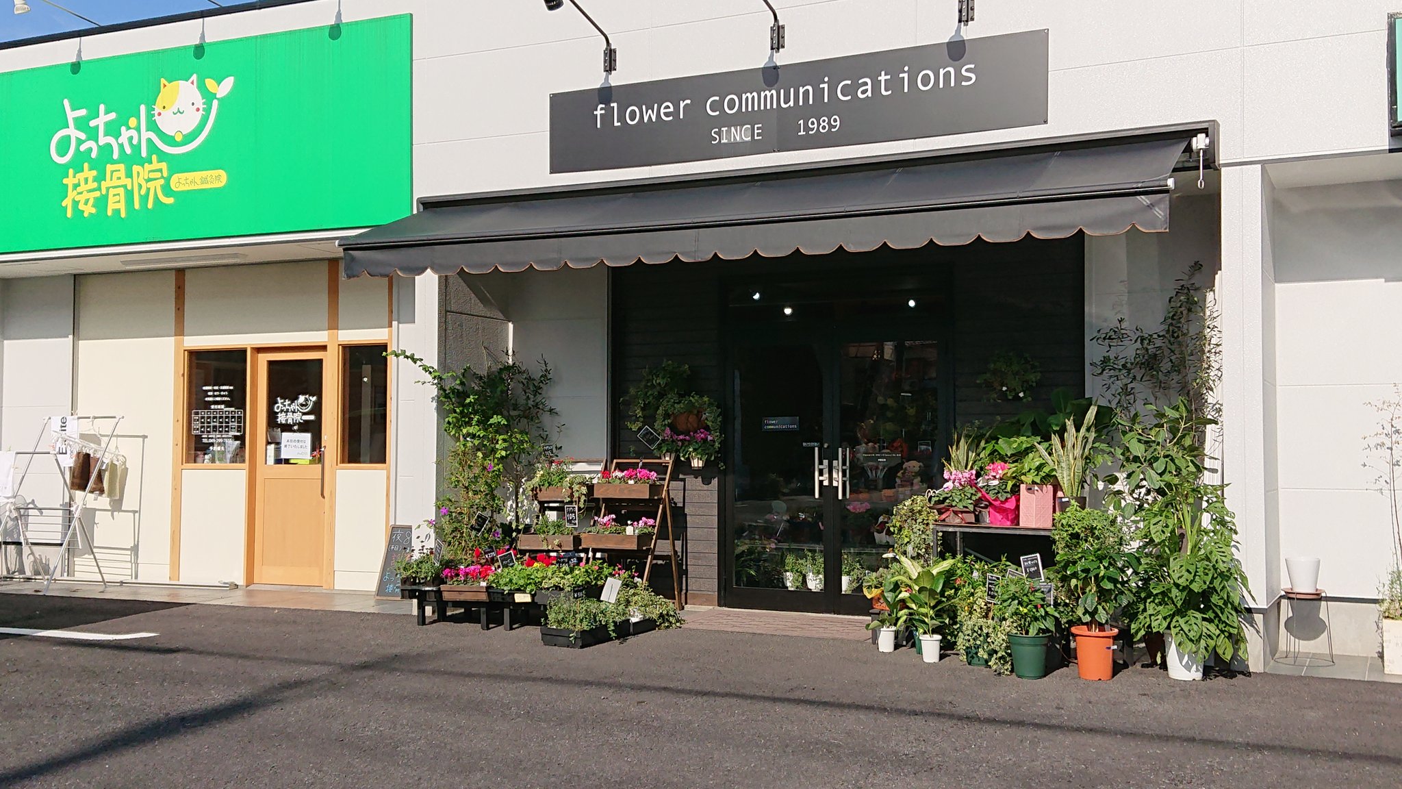 ちゃば ピオニの中にあった花屋さん Flower Communicationsって坂戸の千代田にもあるんだね 梅林堂の近くにあったよ ピオニの再開いつだろうなー ピオニ ピオニウォーク ピオニウォーク東松山 Flowercommunications フラワーコミュニケーションズ