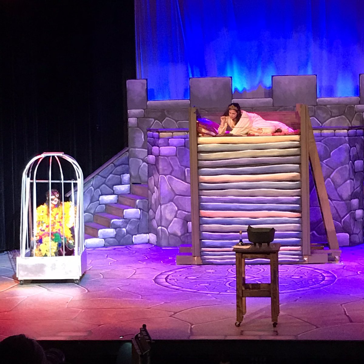 adelSTEM's tweet photo. Just watched the dress rehearsal for Once Upon a Mattress and WOW! The cast, crew, and pit have put together an AMAZING show!! Not that I’m at all surprised, of course. What a fun show! Go see it this weekend!! #CougarPride #OuaM https://t.co/eqHtjs9eo4