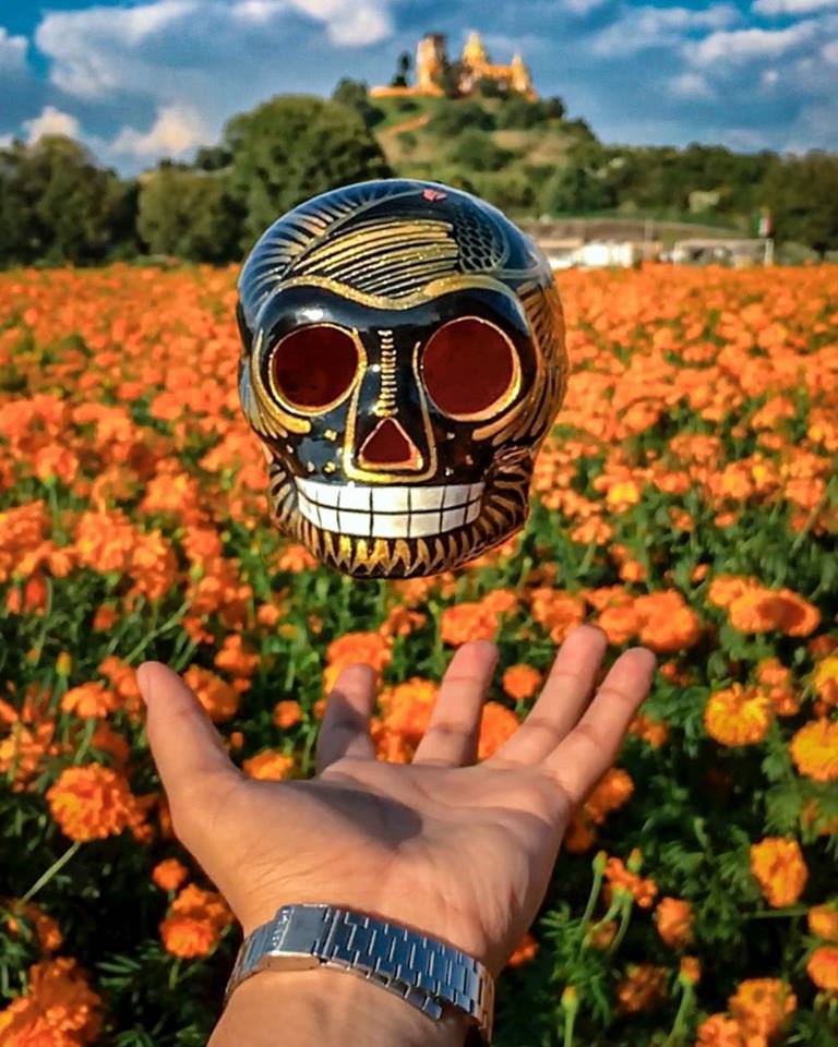 Se acerca día de muertos ¿No les encantan estas festividades mexicanas? 💀😍

Foto de Instagram de @alfredfernaa