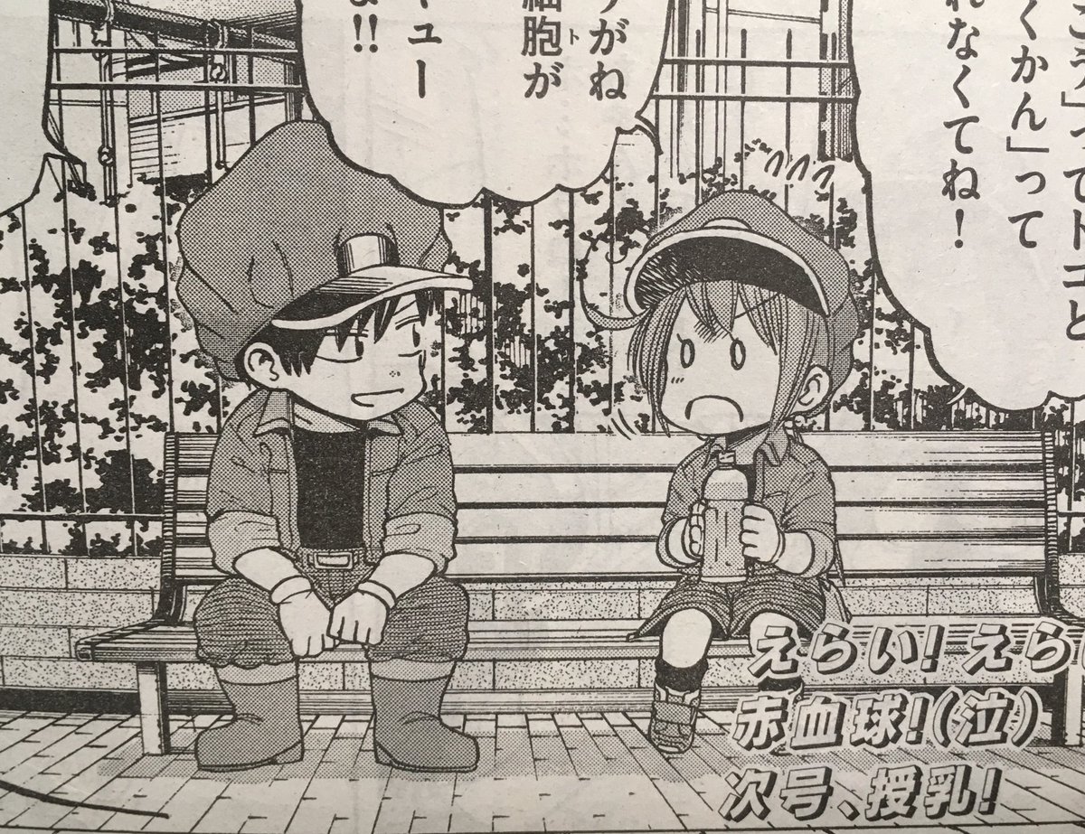 今回、本編のはたらく細胞の血液循環の回を所々オマージュさせていただいてます。
良かったらそこも見てみて下さい! 