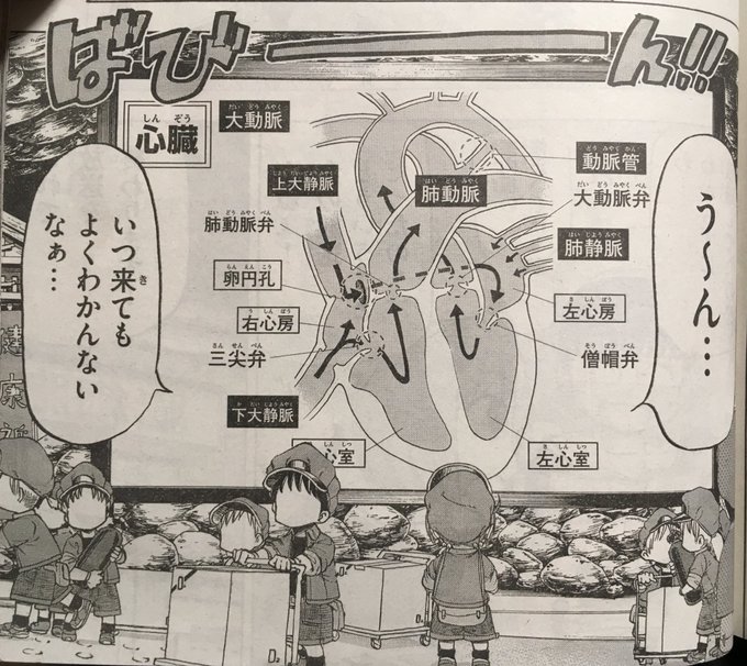 今回、本編のはたらく細胞の血液循環の回を所々オマージュさせていただいてます。
良かったらそこも見てみて下さい! 