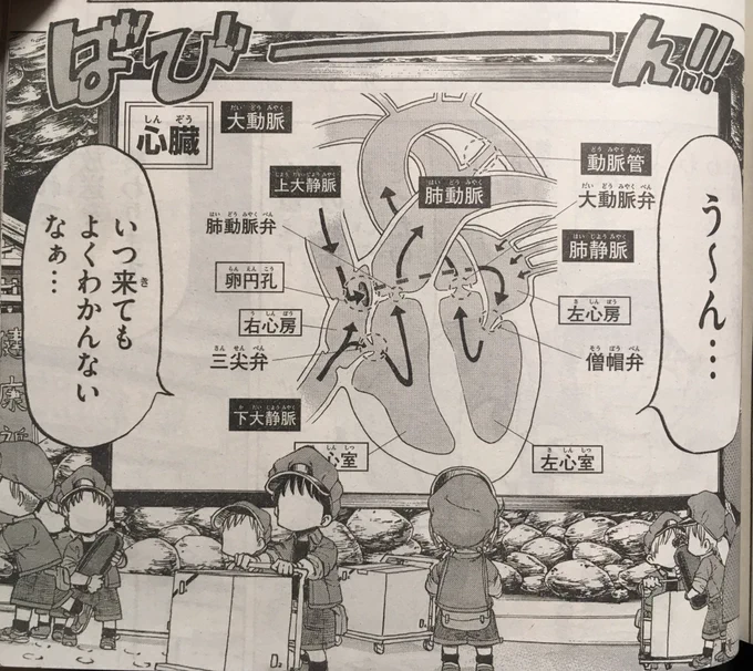 今回、本編のはたらく細胞の血液循環の回を所々オマージュさせていただいてます。
良かったらそこも見てみて下さい! 