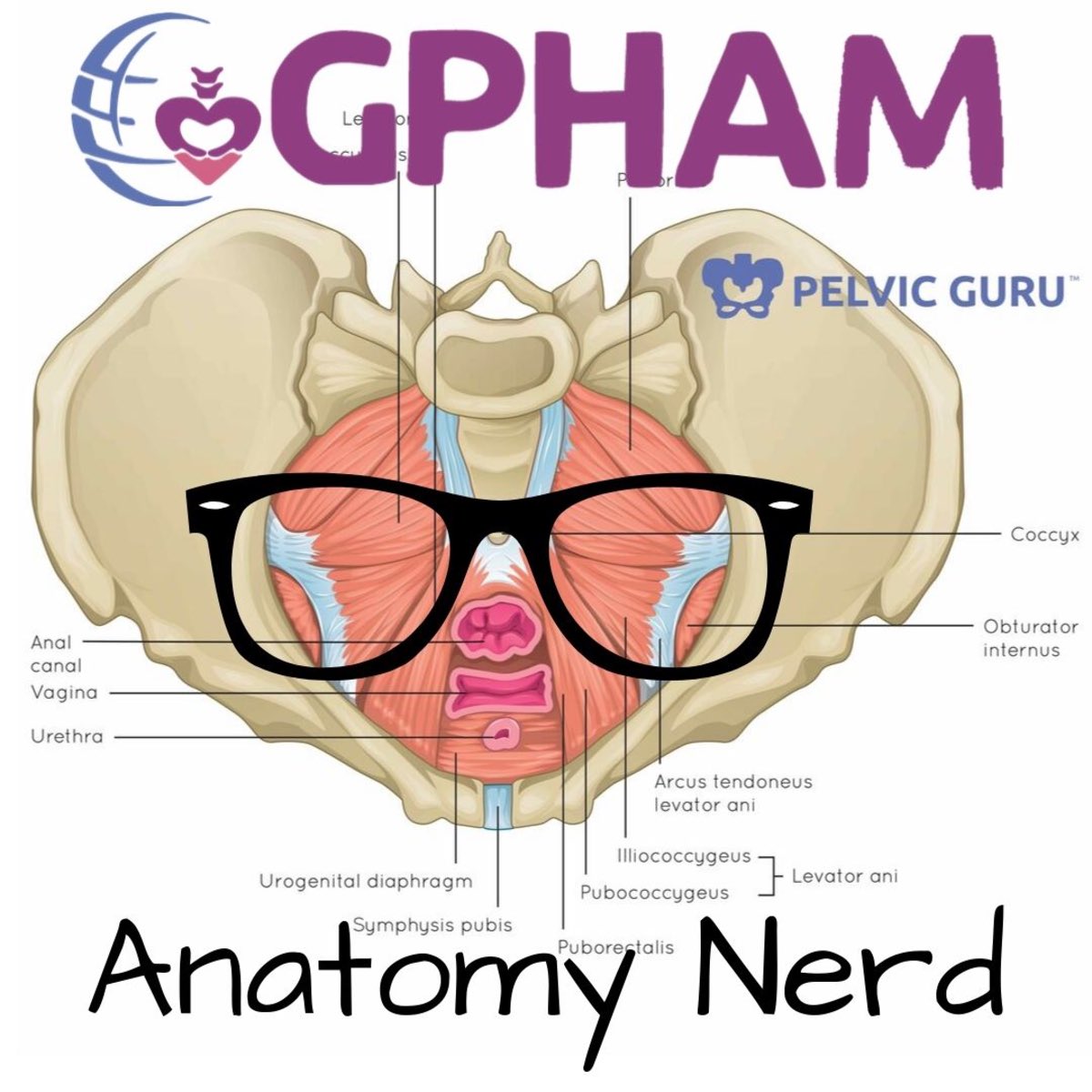PelvicGuru1's tweet photo. So proud to see the global multidisciplinary group #GPHAM thriving. It has been a dream to put together a membership with so many people who want to make a difference in all areas of pelvic health! https://t.co/oq33fam7w5