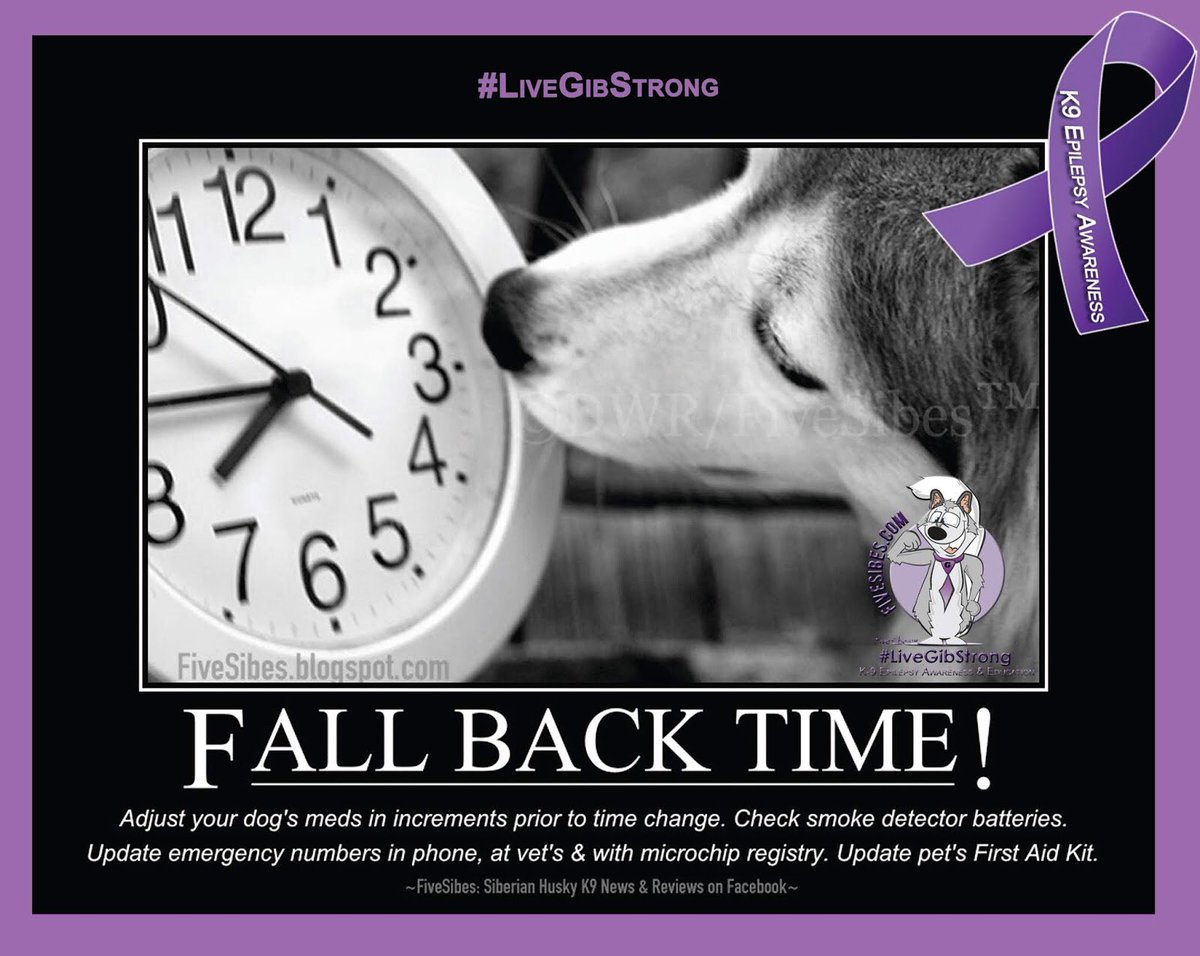 FiveSibesMom's tweet photo. #FiveSibes #LiveGibStrong #CanineEpilepsy Tip for #FallBackTime (Sun, 11/3/19 2AM): If you have an #Epidog on a precise med dose schedule, start to adjust dose time prior to ease them into the time change. #Awareness #LiveGibStrongForever #Paws4Purple #K9Epilepsy https://t.co/TBbX1nCDvc